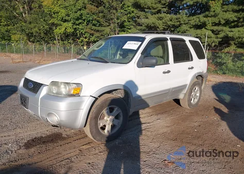 2007 Ford Escape Xlt/Xlt Sport from USA, damaged, VIN 1FMYU03137KB61562